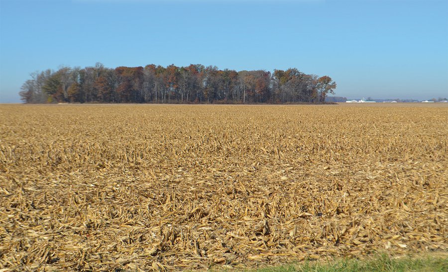 FARMLAND AUCTION - 165.5+/- ACRES OFFERED IN 5 TRACTS OR COMBINATIONS IN EAST ALLEN COUNTY
